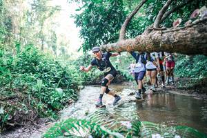 BIB: 
                            <button type="button" onclick="openModal(25463467)" class="btn btn-primary btn-sm float-right btn-popup" data-toggle="modal" data-target=".modal-high-quality">
                        <i class="fas fa-shopping-cart"></i> Add to Cart
                    </button>
                                            <button type="button" onclick="isThisMe(25463467, true)" class="btn btn-success btn-sm float-right btn-popup btn-isme hidden" data-toggle="tooltip" data-placement="bottom" title="นี่คือรูปของคุณใช่ไหม คลิกที่นี่เพื่อเอาเข้าอัลบั้ม">
                        <i class="fas fa-plus"></i> Add to album
                    </button>
                    <button type="button" onclick="isThisMe(25463467, false)" class="btn btn-warning btn-sm float-right btn-popup btn-isnotme hidden">
                        <i class="fas fa-ban"></i> Remove from album
                    </button>